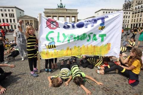 News Bilder des Tages Mit einer Performance vor dem Brandenburger Tor haben Berliner Schueler am Donnerstag (21.06.18) gegen das Bienensterben protestiert. Als Bienen verkleidet schwaermten etwa 100 Erst- bis Sechsklaessler der Evangelischen Schule Friedrichshain ueber den Pariser Platz, bis sie symbolisch mit Glyphosat bespritzt wurden und daran starben . (Siehe epd-Meldung vom 21.06.18) Schueler demonstrieren in Berlin gegen Bienensterben *** With a performance in front of the Brandenburg Gate, Berlin students protested against the bee dying on Thursday 21 06 18 As bees disguised about 100 first to six-year-olds of the Evangelical School Friedrichshain over the Pariser Platz until they were symbolically splashed with glyphosate and died of it See epd message from 21 06 18 Students demonstrate in Berlin against bee mortality Copyright: epd-bild JuergenxBlume EDITORIAL USE ONLY