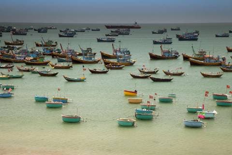 Hafen mit vielen Fischerbooten, Mui Ne, Binh Thuan, Vietnam, Asien Copyright: imageBROKER/AndreasxRose iblaro04698915.jpg