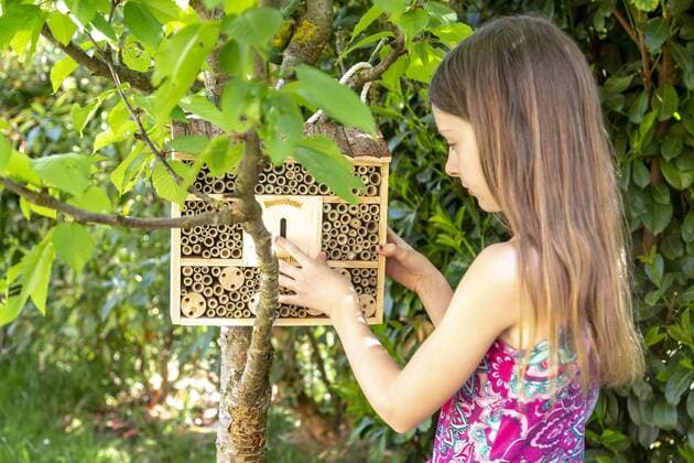 Girl hanging up insect hotel in the garden model released Symbolfoto property released  SARF03757