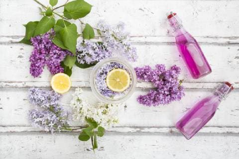 Homemade lilac sirup  LVF06944