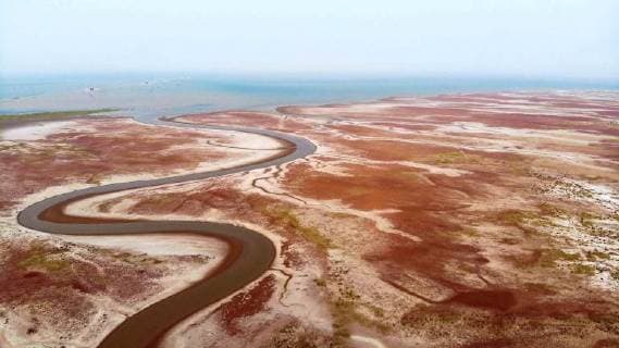 (180629) -- JINAN, June 29, 2018 -- Aerial photo taken on June 23, 2018 shows wetland of the Yellow River Delta national natural reserve in Dongying, east China s Shandong Province. The Yellow River, the second longest river in China, originates on the Qinghai-Tibet Plateau and empties into the Bohai Sea from Dongying City. The city has been making efforts to promote ecological civilization and accelerate the construction of wetland city . )(mcg) CHINA-SHANDONG-DONGYING-AERIAL VIEW (CN) WangxJianhua 