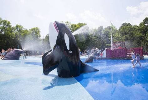 (180701) -- TORONTO, July 1, 2018 -- People cool off at the Splash Island of Toronto Zoo in Canada, on June 30, 2018. Toronto issued a heat warning on Saturday as the temperature hit 35 degrees Celsius. ) (yy) CANADA-TORONTO-HEAT WARNING ZouxZheng 
