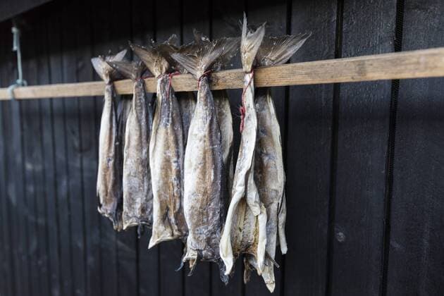 Dried stockfish, Giogv, Eysturoy Island, Faroe Islands, Denmark, Europe Copyright: RobertoxMoiola 1179-3112