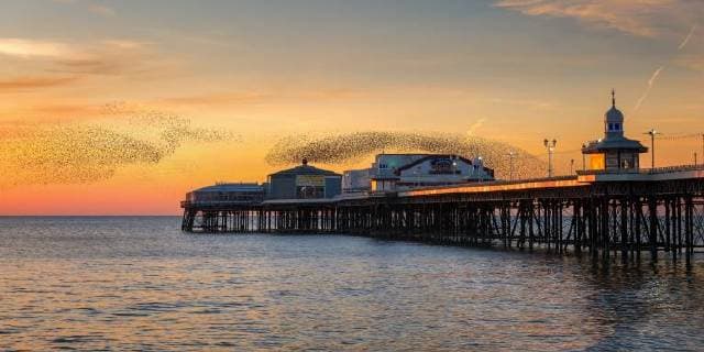 Starling murmuration, Blackpool Pier at sunset, Lancashire, England, United Kingdom, Europe Copyright: KarenxDeakin 1216-299