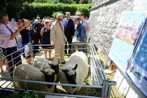 Entertainment Themen der Woche KW26 Entertainment Bilder des Tages . 03 07 2018. Llanwenog, Wales, United Kingdom. Prince of Wales visits St. Gwenog s Church, Llanwenog, Wales, United Kingdom.  xPoolx xi-Imagesx IIM-18106-0030