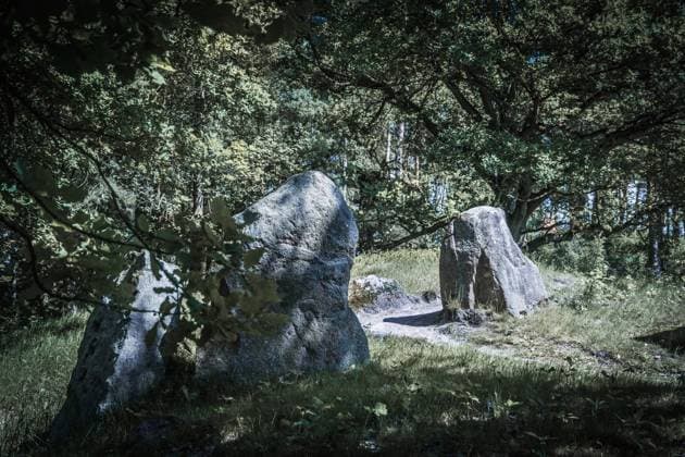 Findlinge in der Oldendorfer Totenstatt der Lüneburger Heide in geheimnisvoller Stimmung Megalithanlage *** Foundlings in the Oldendorf dead place of the Lüneburg Heath in mysterious mood Megalithic plant
