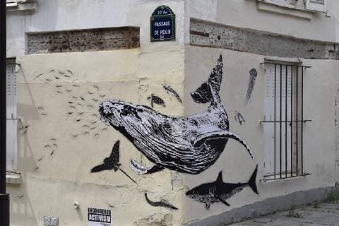 Street art sur les animaux de la mer NEWS : Illustration Street Art - Paris - 05 07 2018 AlexandraMaudet Panoramic 
