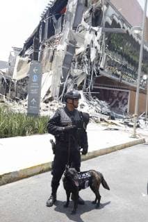 July 13, 2018 - EUM20180713SOC08.JPG .CIUDAD DE MEXICO, Collapse Derrumbe.- Sin haber detectado irregularidades, al menos cinco dependencias del gobierno de la CDMX dieron su aprobacion para la construccion de la plaza comercial Artz, donde ocurrio un derrumbe el jueves por la manana. Foto: Archivo Agencia EL UNIVERSAL MAR. Copyright: xAgustinxSalinasx