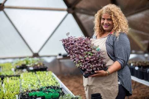 IMAGO Nature: Unsere Erde, Klimawandel, Ernährung, Pflanzen der Zukunft, Amaranth May 30, 2018 - Chicago, IL, USA - Erika Allen, co-founder and CEO of Urban Growers Collective, holds amaranth plants at the South Chicago Farm in Schafer Park in Chicago, Ill. on Wednesday, May 30, 2018. Chicago USA - ZUMAm67_ 20180530_zaf_m67_052 Copyright: xZbigniewxBzdakx