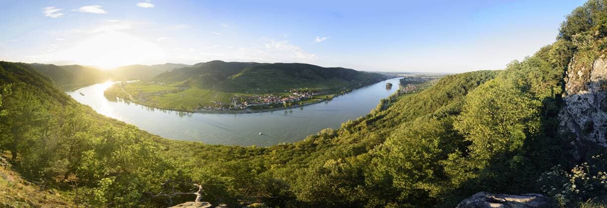bend of river Donau (Danube), Dürnstein castle, villages Dürnstein, Oberloiben, vineyards, cruise ship Dürnstein Niederösterreich, Lower Austria Austria Wachau