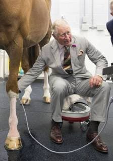 . 24 07 2018. Lichfield , United Kingdom. The Prince of Wales scans a horses leg during a visit to the new Pool House Veterinary Group s Equine Clinic at Crown Inn Farm, Fradley, Lichfield, United Kingdom.  xStephenxLockx xi-Imagesx IIM-18265-0008