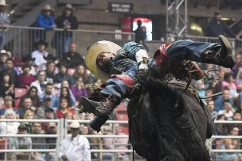 July 23, 2018 - Edmonton, Alberta, Canada - Bareback rider Shane O Connell from Rapid City, SD during the K-Days Rodeo in Edmonton..On Sunday, July 22, 2018, in Edmonton, Alberta, Canada. Edmonton Canada  - ZUMAn230 20180723_zaa_n230_485 Copyright: xArturxWidakx
