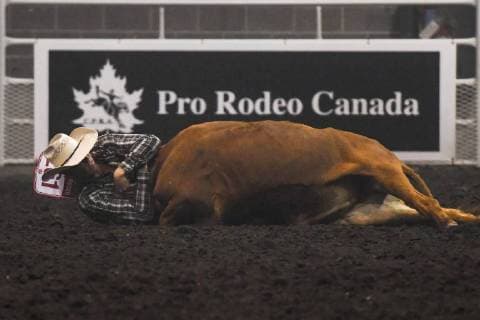 July 23, 2018 - Edmonton, Alberta, Canada - Steer wrestler Joe Guze from Drayton Valley, AB during the K-Days Rodeo in Edmonton..On Sunday, July 22, 2018, in Edmonton, Alberta, Canada. Edmonton Canada  - ZUMAn230 20180723_zaa_n230_492 Copyright: xArturxWidakx