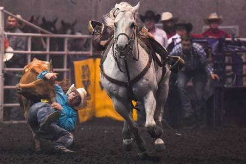 July 23, 2018 - Edmonton, Alberta, Canada - Steer wrestler Ben Ramey from Ponoka, AB, in action during the K-Days Rodeo in Edmonton..On Sunday, July 22, 2018, in Edmonton, Alberta, Canada. Edmonton Canada - ZUMAn230 20180723_zaa_n230_494 Copyright: xArturxWidakx