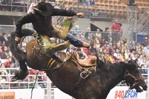 July 23, 2018 - Edmonton, Alberta, Canada - Saddle bronc rider Chuck Shmidt from Keldron, SD, in action during the K-Days Rodeo in Edmonton..On Sunday, July 22, 2018, in Edmonton, Alberta, Canada. Edmonton Canada - ZUMAn230 20180723_zaa_n230_504 Copyright: xArturxWidakx