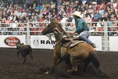July 23, 2018 - Edmonton, Alberta, Canada - Tie-down roper Josh Eirikson from Pincher Creek, AB, in action during the K-Days Rodeo in Edmonton..On Sunday, July 22, 2018, in Edmonton, Alberta, Canada. Edmonton Canada - ZUMAn230 20180723_zaa_n230_507 Copyright: xArturxWidakx