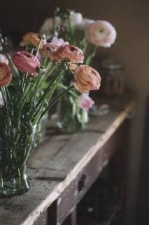Fresh flowers in vase  ALBF00468
