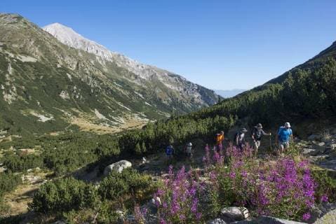 The Pirin mountains with Vihren peak distant, the highest point in the range, Bulgaria, Europe Copyright: AlexxTreadway 1225-1199