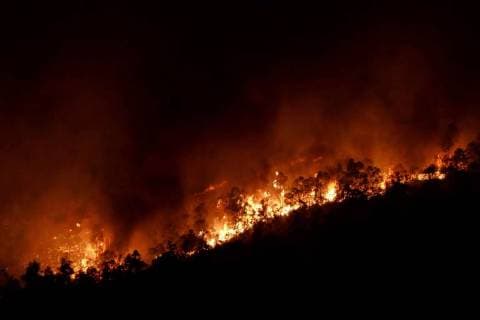 News Themen der Woche Bilder des Tages News The Plan Infoca will maintain throughout the night a device composed of more than 200 people to try to control the forest fire, in Almonaster la Real, Huelva, Andalucia, Spain, on 5 August 2018. 200 people work tonight in Almonaster to put out a fire !ACHTUNG: NUR REDAKTIONELLE NUTZUNG!  Copyright: xDavidxArjonaxRamírezx GRAF2575 20180806-636691202059716637