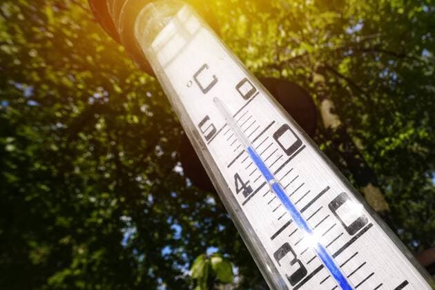 Thermometer im Garten zeigt 45Ã‚Â°C in der Sonne, Jahrhundertsommer 2018