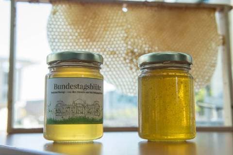 News Bilder des Tages Umwelt Honigernte Bundestags-Bienen Honigernte bei den Bundestags-Bienen. Oliver Krischer, Bienen-Vater des Parlaments und Vizechef der Bundestagsfraktion der Gruenen erntete zusammen mit seinem Mitarbeiter Daniel Holstein und dem Imker Dr. Benedikt Polaczeck von der Technischen Universitaet, am Dienstag den 7. August 2018 im Paul-Loebe-Haus den Honig der Bundestagsbienen. Insgesamt wird eine Ernte von bis zu 100 Kilogramm von den drei Bienenvoelkern erwartet. Die Bienenvoelker wurden 2016 als Zeichen gegen das Bienensterben von der gruenen Bundestagsabgeordneten Baerbel Hoehn aufgestellt. Im Bild: Der frisch geschleuderte Bundestagshonig. 7.8.2018, Berlin *** Environment Honey harvest Bundestag bees Honey harvest at the Bundestag bees Oliver Krischer Bees Father of the Parliament and vice chairman of the parliamentary group of the