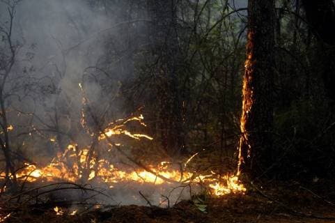 August 7, 2018 - Ukiah, California, USA - Ukiah, California, U.S. - The back fire slowly consumes all the fuel to the fire break. Ukiah USA - ZUMAw332 20180807_zap_w332_007 Copyright: xNealxWatersx