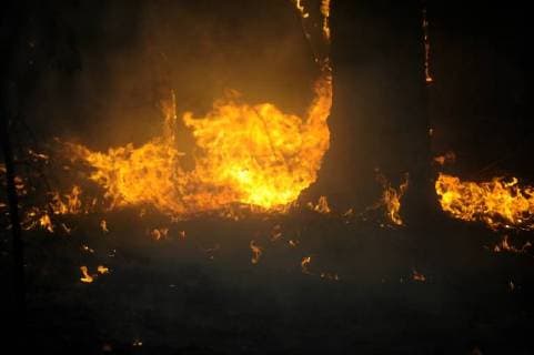 August 7, 2018 - Ukiah, California, USA - Ukiah, California, U.S. - The back fire slowly consumes all the fuel to the fire break. Ukiah USA - ZUMAw332 20180807_zap_w332_010 Copyright: xNealxWatersx