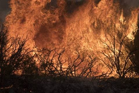 Fire burns through the brush in Colusa County, California on August 7, 2018. The Mendocino Complex fire has become the largest in the state s history.  SXP2018080713 TERRYxSCHMITT
