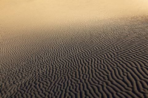 Strukturen im Sand, Dünen von Maspalomas, Dunas de Maspalomas, Strukturen im Sand, Naturschutzgebiet, Gran Canaria, Kanarische Inseln, Spanien, Europa Copyright: imageBROKER/HarryxLaub ibxhal04727859.jpg