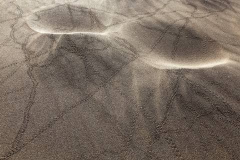 Tierspuren, Käferspuren im Sand, Dünen von Maspalomas, Dunas de Maspalomas, Strukturen im Sand, Naturschutzgebiet, Gran Canaria, Kanarische Inseln, Spanien, Europa Copyright: imageBROKER/HarryxLaub ibxhal04727860.jpg