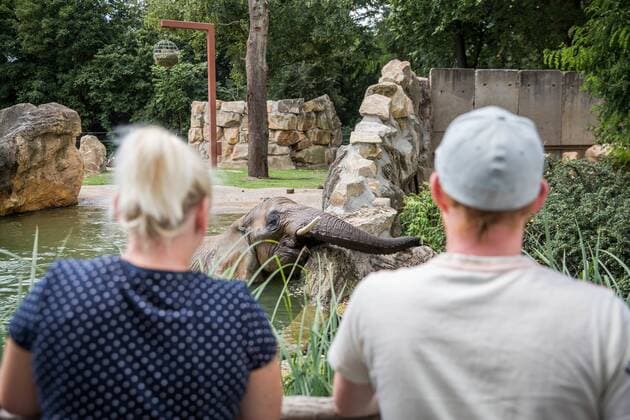 Saniertes Außengehege für die Elefanten im Zoo Dresden.