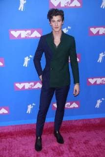 NEW YORK, NY - AUGUST 20: Shawn Mendes arriving at the 2018 MTV Video Music Awards at Radio City Music Hall in New York City on August 20, 2018. Copyright: xDiegoxCorredorx