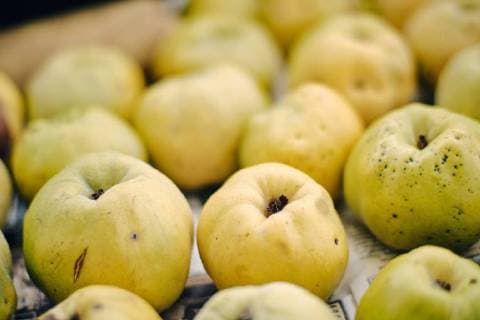 Ripe quinces  BZF00428