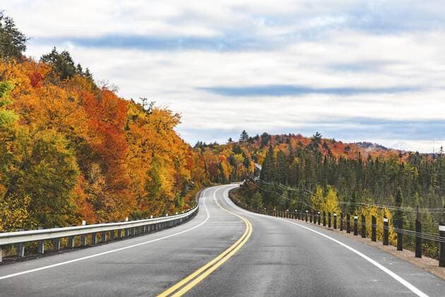 Canada, Ontario, main road through colorful trees in the Algonquin park area  WPEF00705