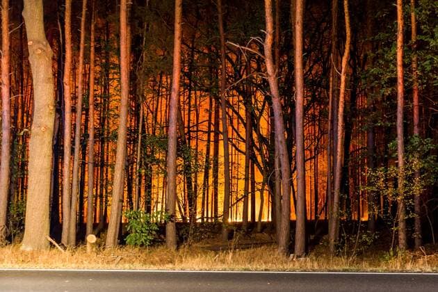 24.08.2018, Brandenburg, Deutschland, GER - Großbrand in einem Wald in Brandenburg zwischen den OrtschaftenTreuenbrietzen und Jüterborg. Am Mittag ist das Feuer nahe der Ortschaft Treuenbrietzen ausgebrochen. Bis zum Abend breitete sich der Waldbrand auf eine Fläche von ca. 300 Hektar aus. Im Bild zu sehen ist ein kleider Teil der in Brand geratenen Fläche. . *** 24 08 2018 Brandenburg Germany GER Great fire in a forest in Brandenburg between the villages of Treuenbrietzen and Jüterborg At noon the fire near the village of Treuenbrietzen erupted Until the evening the forest fire spread to an area of u200b u200babout 300 hectares In the picture you can see a piece of clothing the burnt area
