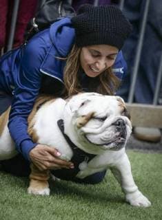 News Bilder des Tages (180827) -- VANCOUVER, Aug. 27, 2018 -- A woman plays with a bulldog during the Pet-A-Palooza event in Vancouver, Canada, Aug. 26, 2018. About 20,000 dog lovers attended the annual Pet-A-Palooza event here Sunday. The event allowed pet lovers to share the joy and experience with their pets through various activities. ) (zxj) CANADA-VANCOUVER-PET-EVENT LiangxSen 