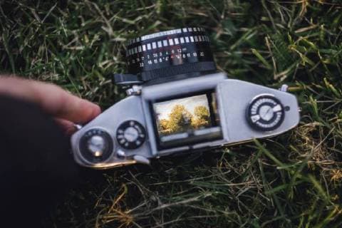 Analogue camera lying on grass model released Symbolfoto  JSCF00113
