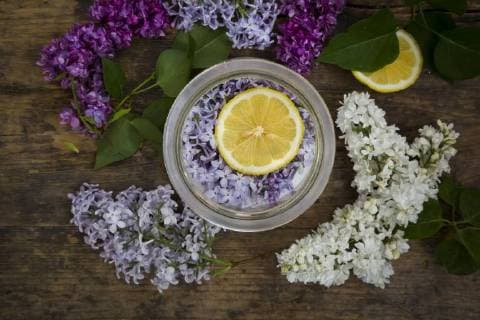 Preparing lilac sirup  LVF07301