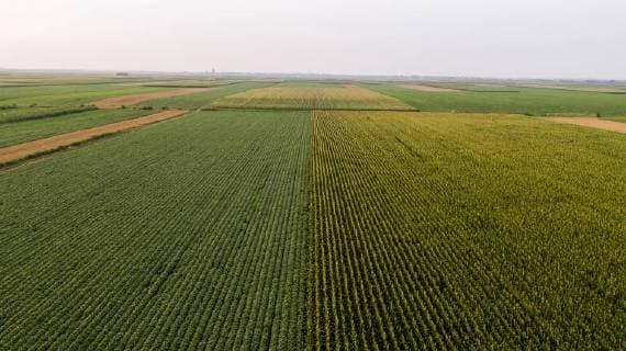 IMAGO Nature: Unsere Erde, Klimawandel, Ernährung, Pflanzen der Zukunft, Soja Serbia, Vojvodina, Aerial view of corn, wheat and soybean fields in the late summer afternoon  NOF00054