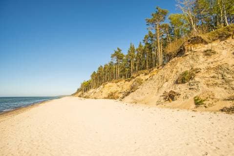 Ostseestrand in Polen bei Orzechowo - Baltic Sea in Poland with pines and dunes