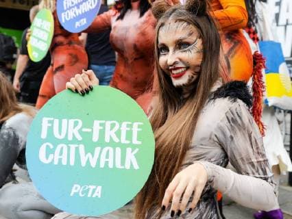 . 14 09 2018. London, United Kingdom. PETA protest at Strand. PETA activists seen during a protest outside The Strand. With the message Leather Is Someone s Skin. Wear Vegan , PETA activists protest at 180 The Strand, on the first day of the London Fashion Week.  xGustavoxValientex xi-Imagesx IIM-18474-0008