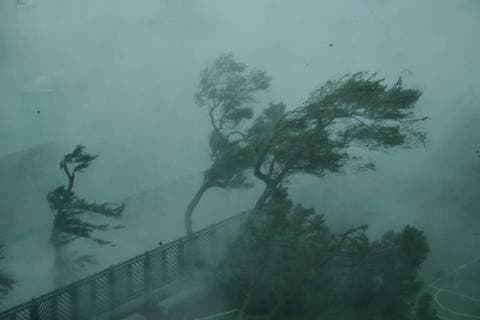 News Bilder des Tages (180916) -- HONG KONG, Sept. 16, 2018 -- Photo taken on Sept. 16, 2018 shows trees in the wind on the seaside in Hong Kong, south China. The Hong Kong Observatory issued the No. 10 hurricane signal, the top level warning, at 9:40 a.m. on Sunday, as severe typhoon Mangkhut is near. ) (yxb) CHINA-HONG KONG-MANGKHUT-TOP TYPHOON WARNING(CN) WangxShen 