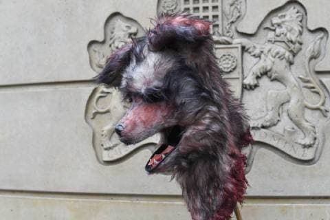 Animal rights activists target London Fashion Week with the largest fur protests seen at the event in a decade, London. SEPTEMBER 15th 2018  SLIx183176