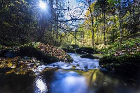 Fluss im Herbstwald, Deutschland, Sachsen, Vogtlaendische Schweiz, Triebtal river in autumnal forest, Germany, Saxony, Vogtlaendische Schweiz, Triebtal BLWS495595 Copyright: xblickwinkel F.xHerrmannx
