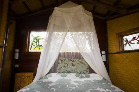 IMAGO Creative, Leben im Bamhaus Honeymoon suite with a king bed at a treehouse in the rainforest near Hilo and Volcano on the Big Island of Hawaii, Hawaii Volcanoes National Park Hawaii United States RAJO002453 Copyright: JoshuaxRainey RAJO002453