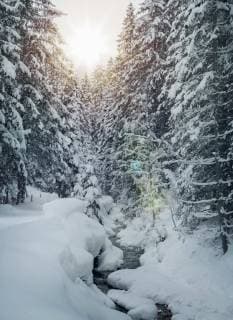 IMAGO Creative: Jahreszeit Winter, Spaziergang Stream passing through snowy landscape  Copyright: SvenxHagolani fStopImages1322030