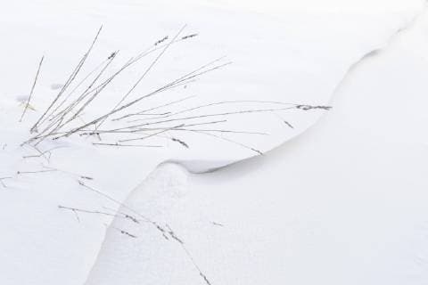 IMAGO Creative: Jahreszeit Winter, Spaziergang Grass in snow  Copyright: Halfdark fStopImages1329006