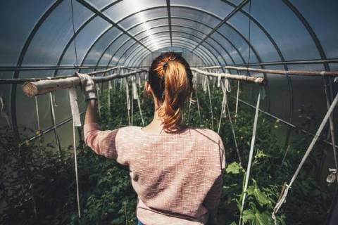 IMAGO Creative: Landleben - Alfresco, Draußen IMAGO Creative: Landleben, Mit Nachhaltigkeit grün auf dem Land leben Rear view of woman standing amidst plants in greenhouse  Copyright: VasilyxPindyurin fStopImages1568002