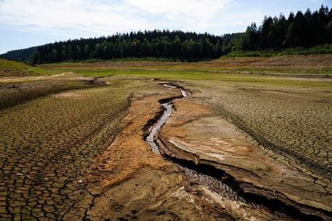Europa, Deutschland, Sachsen, Osterzgebirge, Landkreis Sächsische Schweiz, Talsperre Lehnmühle, abgelassenes Becken *** Europe Germany Saxony Eastern Ore Mountains County Saxon Switzerland Dam Lehnmühle drained basin