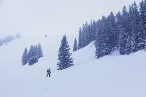 Skier ascending hill in snow storm model released Symbolfoto  MMAF00463